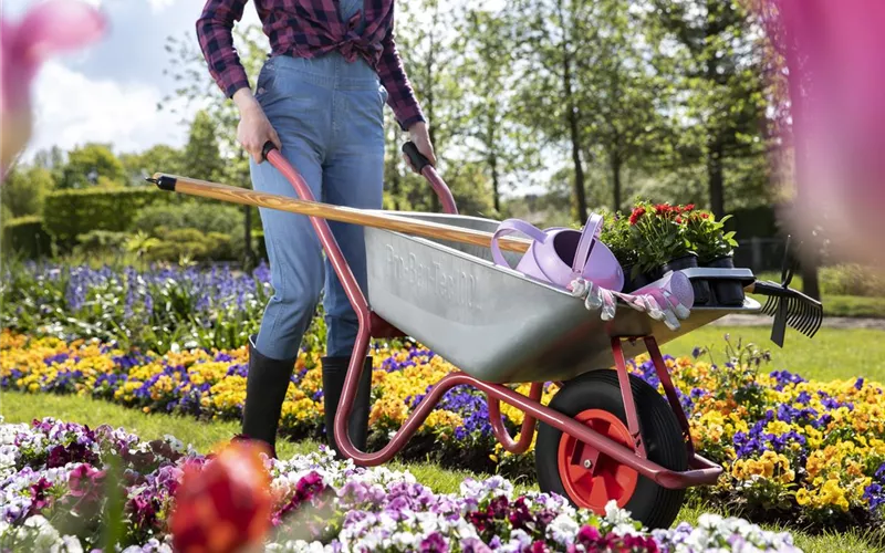 Gartenarbeit leicht gemacht – mit den richtigen Geräten