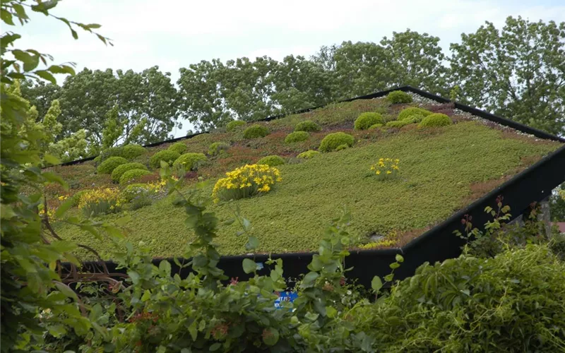 Der Dachgarten: ein Paradies über den Dächern der Welt