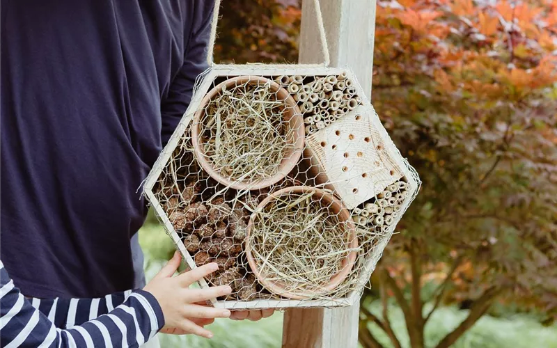 Ein Insektenhotel im Garten - Urlaub für kleine Nützlinge.