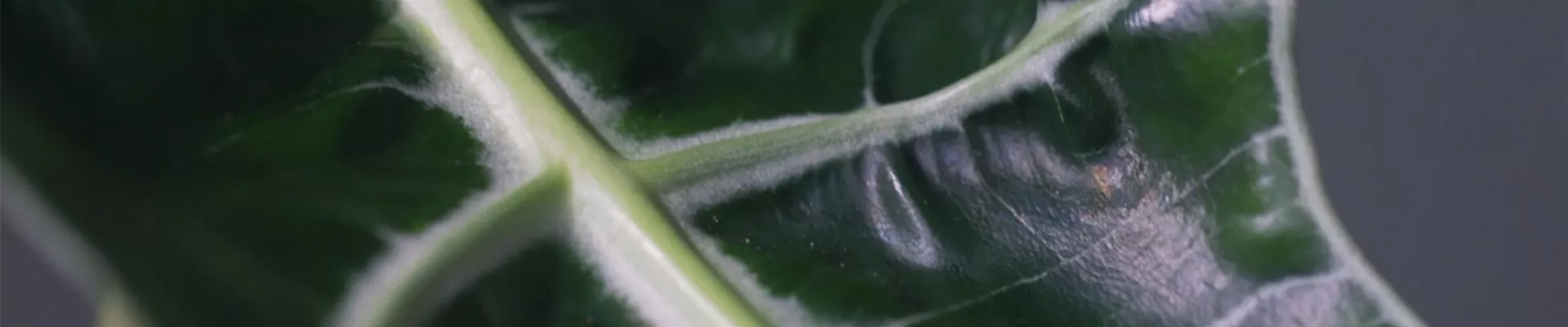 Ashampoo_Snap_Donnerstag, 23