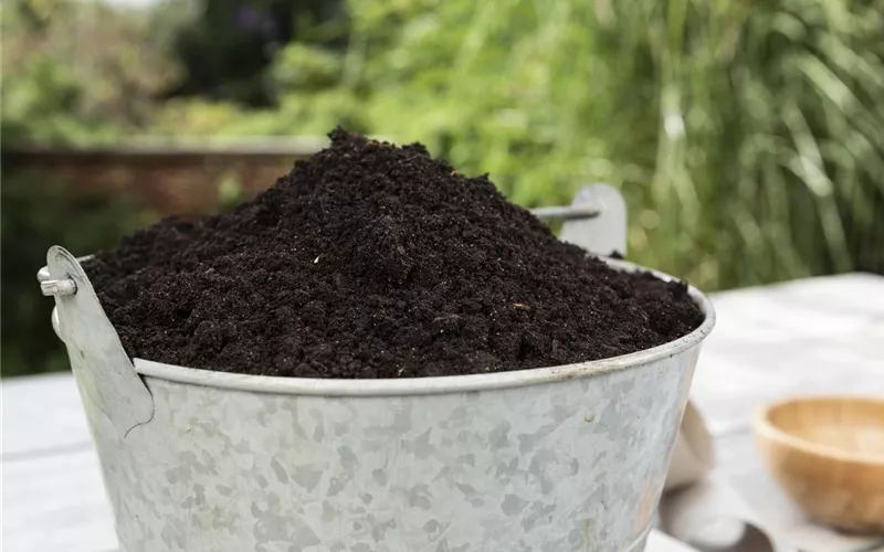 Erde und Substrate legen den Grundstein fürs Wachstum 