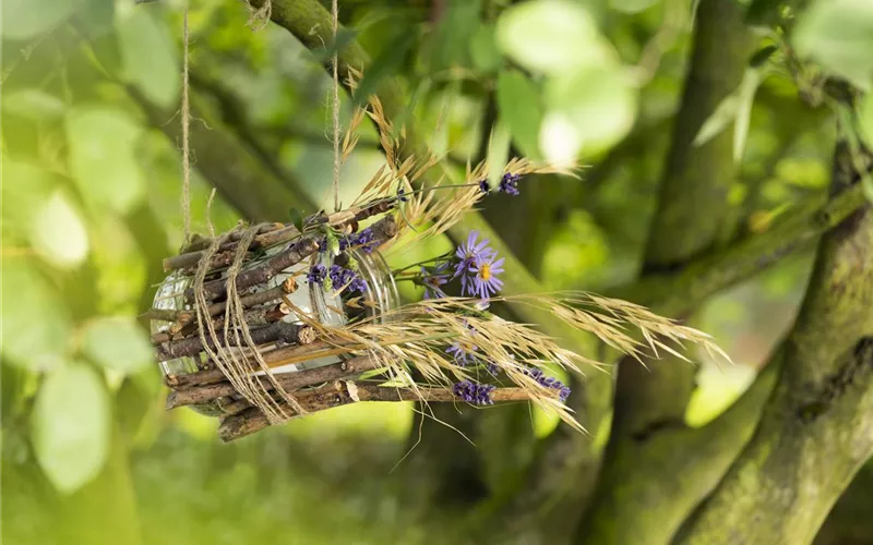 Ein Vogelhaus aus einem Weckglas - gläserner Futter-Stopp für Vögel
