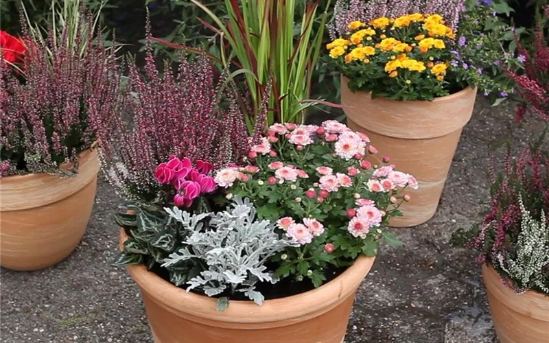Möchten Sie Ihren Garten umstylen? So geht es ganz schnell 