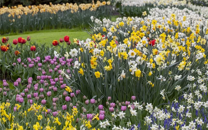 Gartenarbeiten im Mai