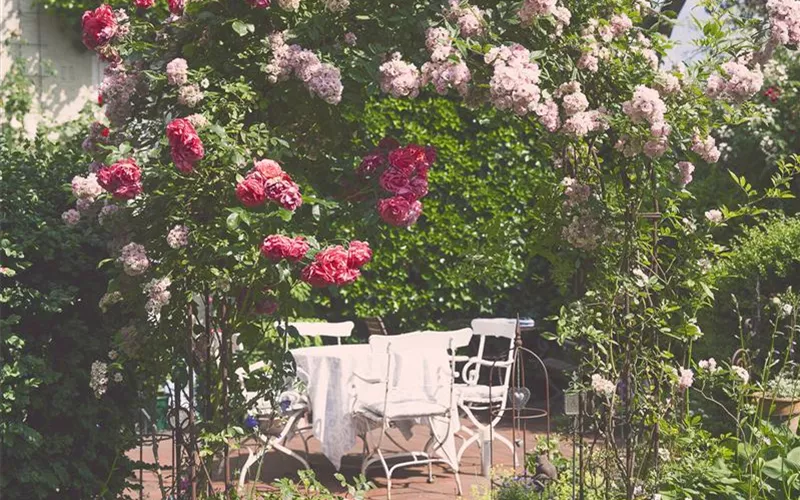 So werden Cottage-Träume wahr