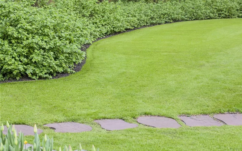 Sie sind bewegend! Wege, die durch den Garten führen.