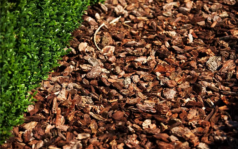 Was bringt der April dem Gärtner an Arbeit?