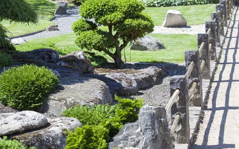 Der Feng-Shui-Garten: botanischer Einklang für die Gesundheit