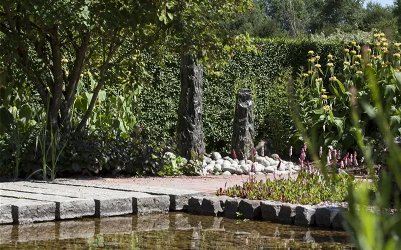 Der Wassergarten - Harmonie und Bewegung zugleich