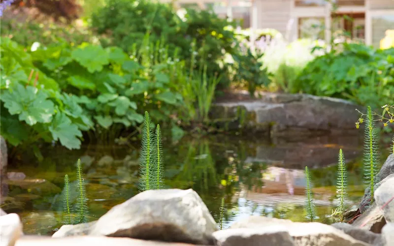 Findlinge im Garten - Sitzgelegenheit, Wasserfall oder Dekoelement