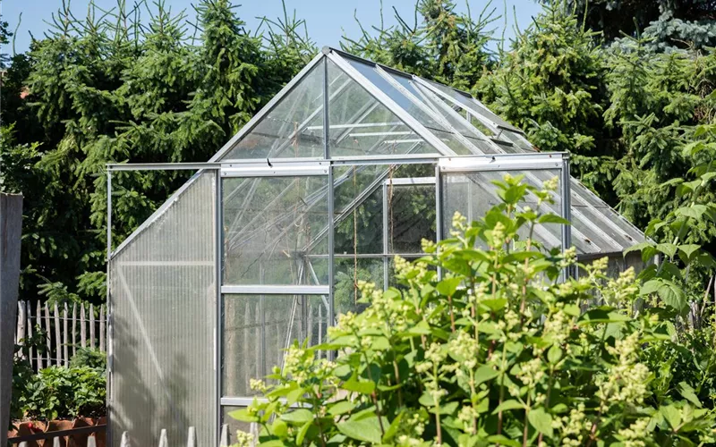 Ein Gewächshaus anlegen