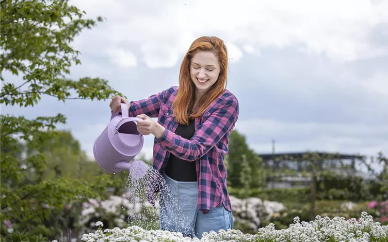 Gartenarbeit leicht gemacht – mit den richtigen Geräten