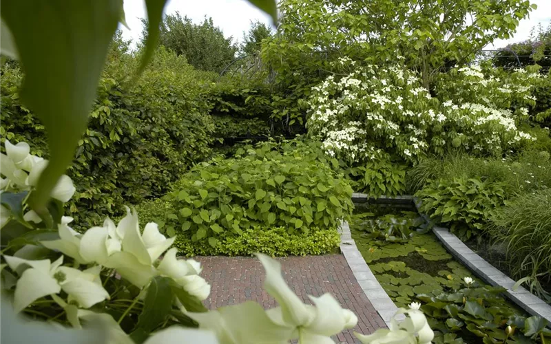 Garten easy going – so wird der Garten pflegeleicht
