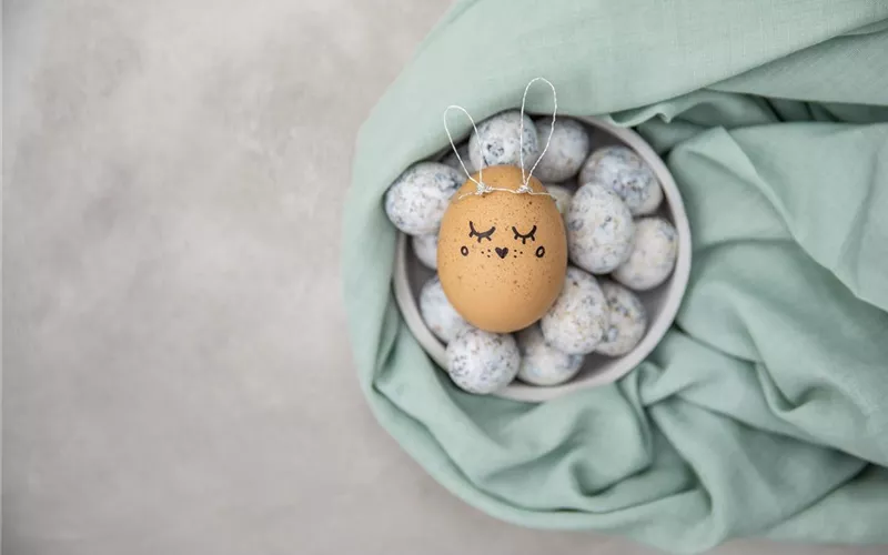 Das Garten-Paradies für Osterhase und Co.