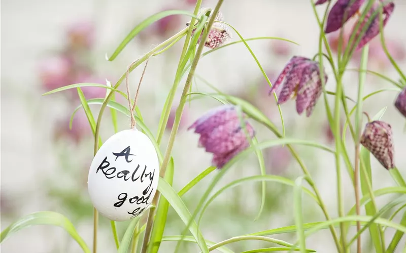 Der Garten für den Osterhasen – ein Frühlingsparadies!