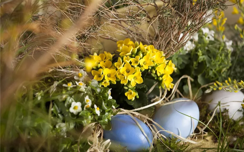 Der Garten für den Osterhasen – ein Frühlingsparadies!