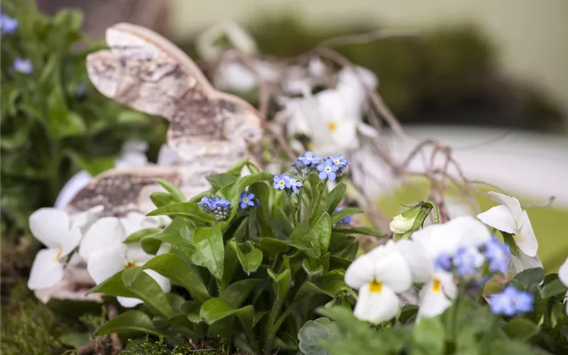 Ostern vor der Haustür
