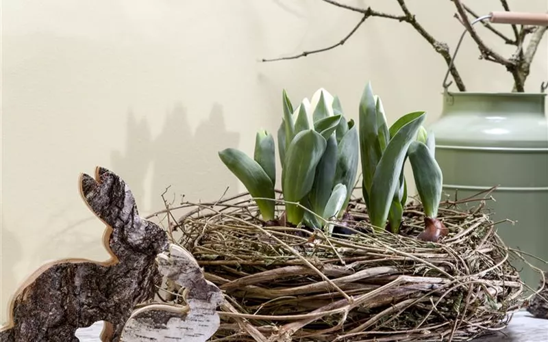 Ostern vor der Haustür