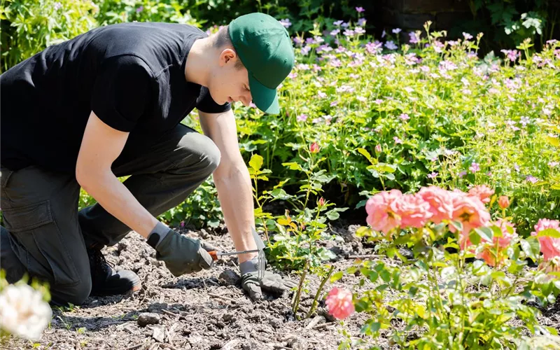 Was bringt der April dem Gärtner an Arbeit?