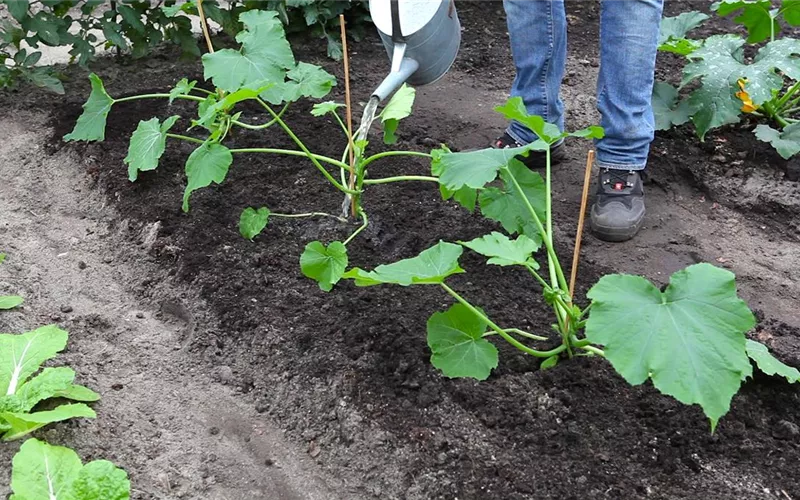 Was bringt der April dem Gärtner an Arbeit?