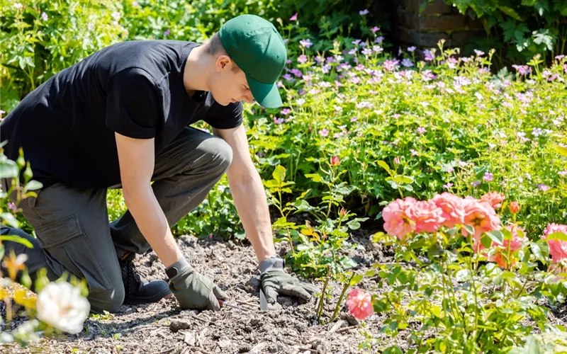 Schöne neue Welt – Automatisierung im Garten