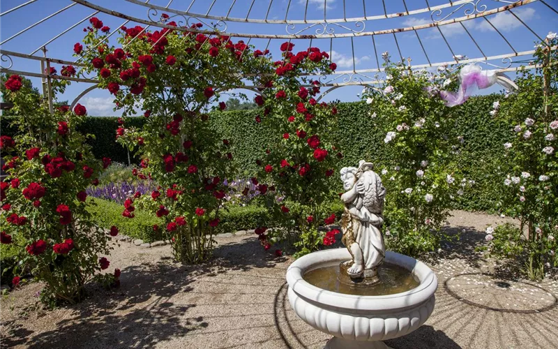 Der Barockgarten: royales Flair im eigenen Garten