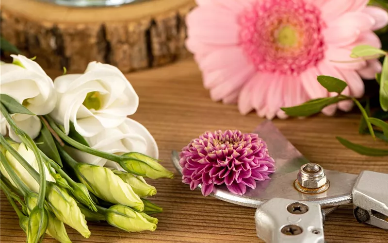 Schnittblumen - was hilft wirklich?