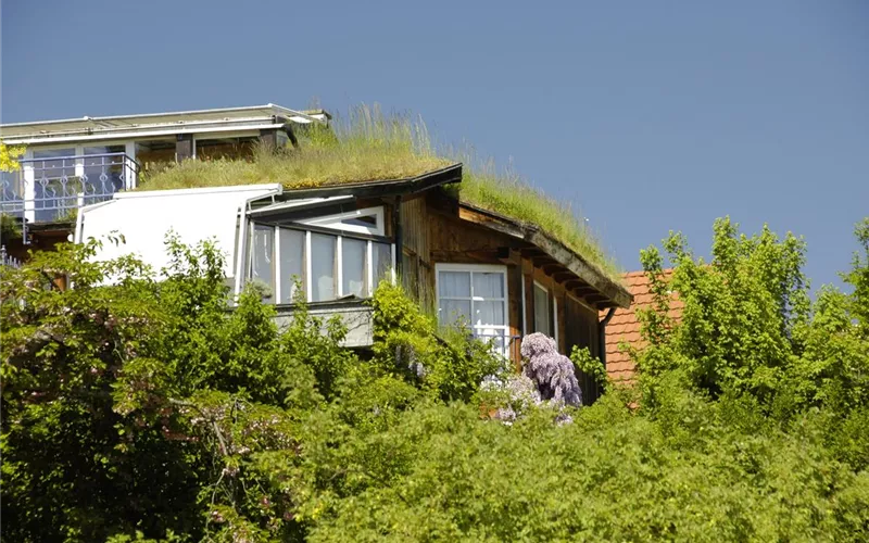 Der Dachgarten: ein Paradies über den Dächern der Welt