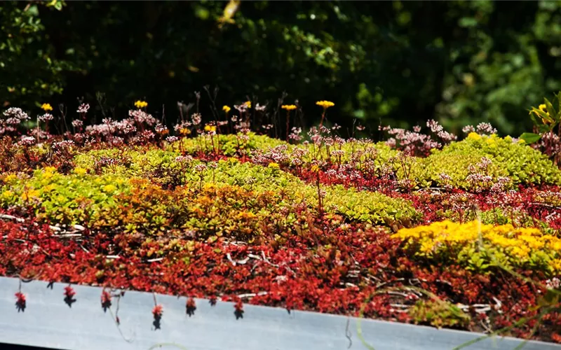 Der Dachgarten: ein Paradies über den Dächern der Welt