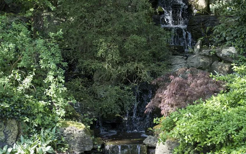 Der Bachlauf im Garten – Wasser bringt Ruhe und Erholung
