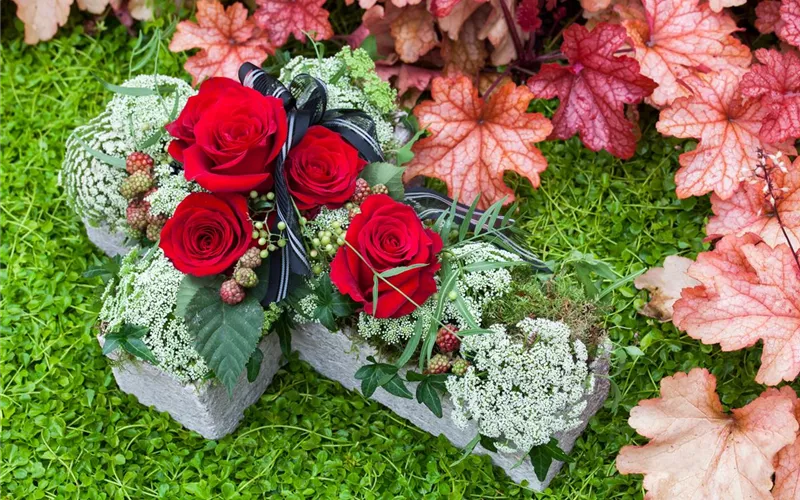 Das Grab im Sommer – die richtigen Blumen finden