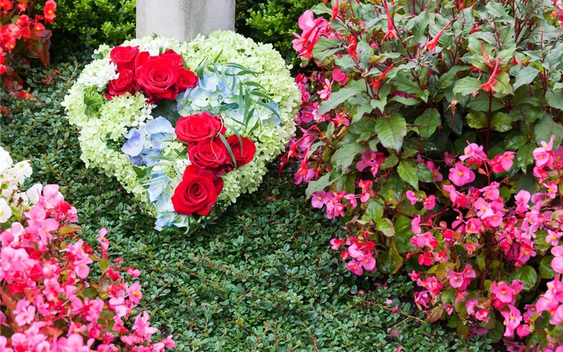 Das Grab im Sommer – die richtigen Blumen finden