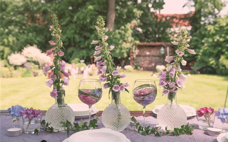 Feiern unter freiem Himmel: die besten Feste im Sommergarten