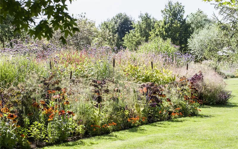 Pflegeleichter Garten: Wohlfühloase trotz wenig Zeit