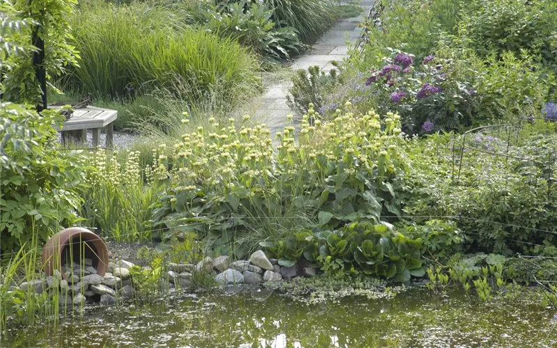 Der Naturgarten - Ausgleich zum Arbeitsalltag