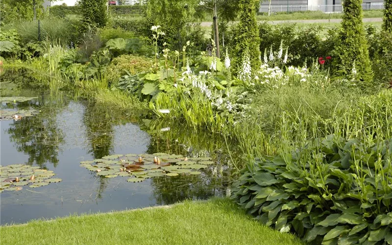 Der Naturgarten - Ausgleich zum Arbeitsalltag