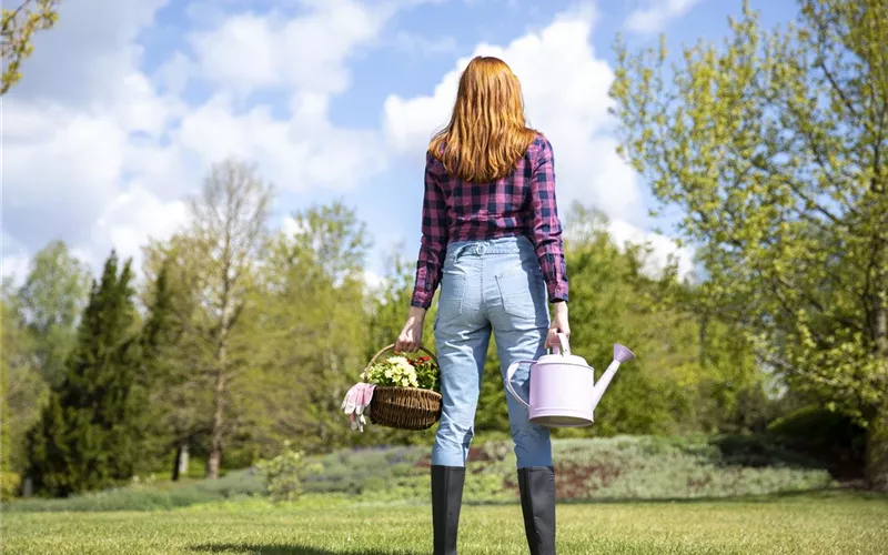 Alles auf Anfang – ein Blumenbeet anlegen