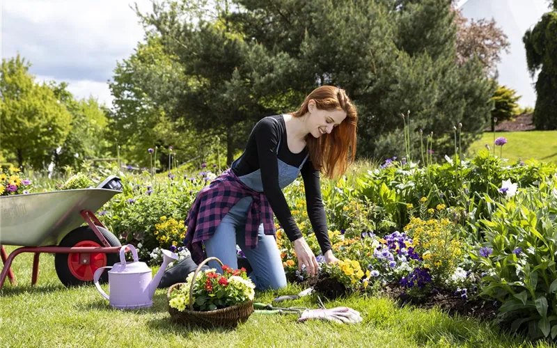 Alles auf Anfang – ein Blumenbeet anlegen