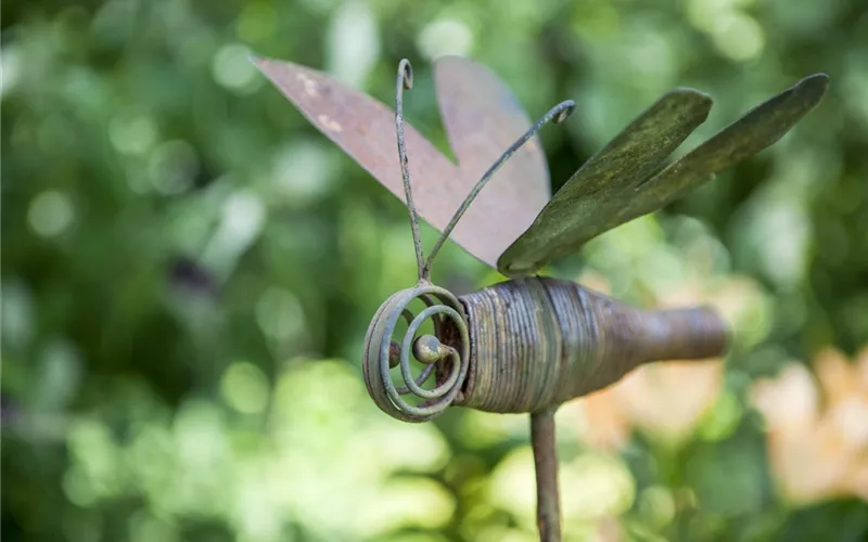 Möchten Sie Ihren Garten umstylen? So geht es ganz schnell 