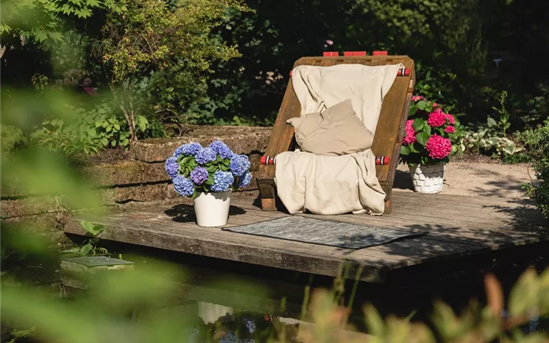 Die grüne Oase: die Terrasse in einen Garten verwandeln