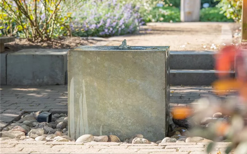 Der Wassergarten - Harmonie und Bewegung zugleich