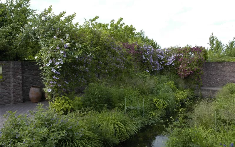 Tore und Türen – Die Visitenkarte Ihres Gartens Tore und Türen – Die Visitenkarte Ihres Gartens