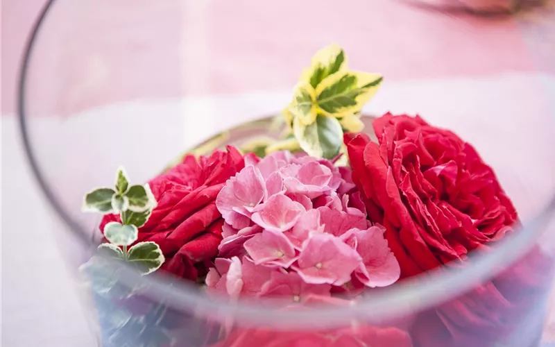 Wellness für die Nase: Düfte für Beet und Beauty Wellness für die Nase: Düfte für Beet und Beauty