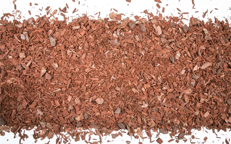 Der Mulch macht’s Der Mulch macht’s