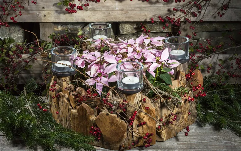 Advent - mit schönen Ideen durch die Vorweihnachtszeit 