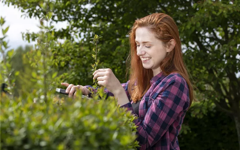 Diese Arbeiten sind jetzt im Garten noch nötig Diese Arbeiten sind jetzt im Garten noch nötig