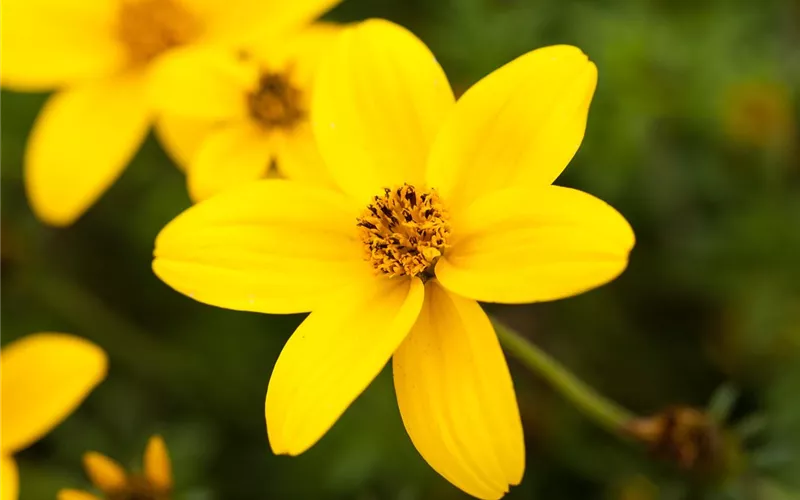 Auf den Schuh gekommen – Upcycling mit Gummistiefeln