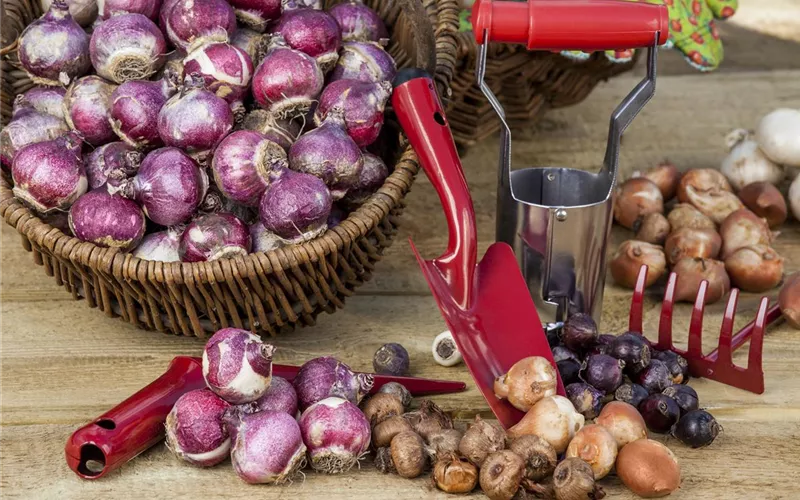Gartenzubehör – kleine Helfer bei der täglichen Gartenarbeit 